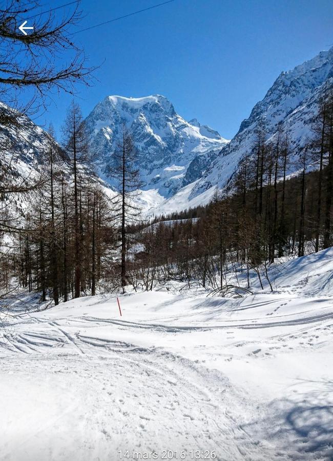 Le Panorama - Appartement à Arolla face aux montagnes à 150m des pistes Evolène Exterior foto